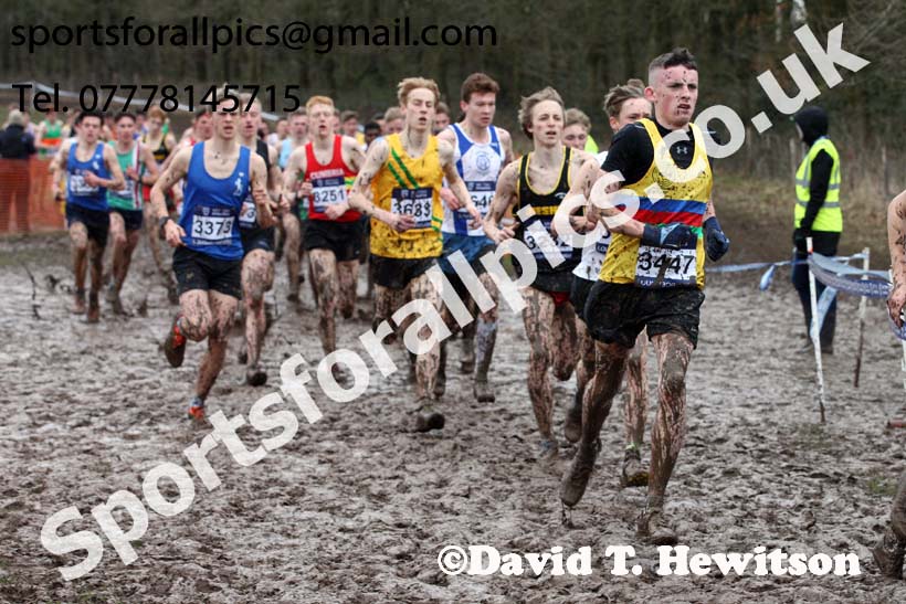 Mens under-17s 2018 British Inter Counties Cross Country Champs., Prestwold Hall, Loughborough. Photo: David T. Hewitson/Sports for All Pics